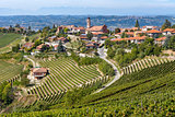 Vineyards and small town on the hill in Italy.