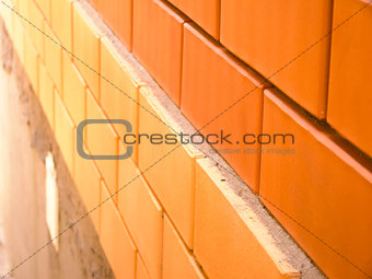 Two colors brick wall