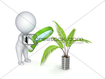 3d rendered exotic decorative plant