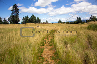 Grassland Trail