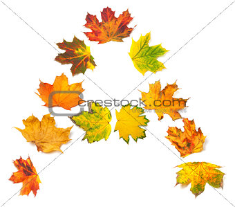 Letter A composed of autumn maple leafs