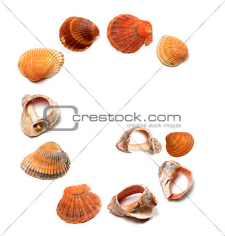 Letter G composed of seashells