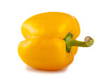 Single yellow pepper