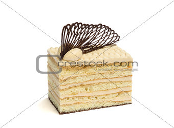 Delicious Dessert- a Piece of  Cake 