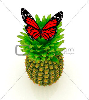 Red butterflys on a pineapple