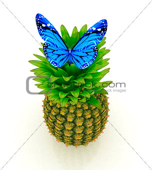 Blue butterflys on a pineapple