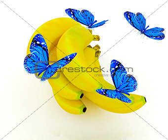 Blue butterflys on a bananas