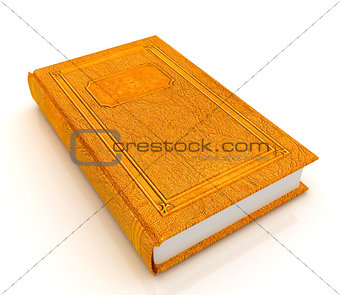The leather book 