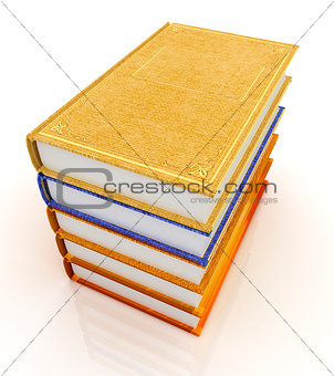 The stack of books 