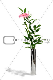Pink gerbera in metal vase