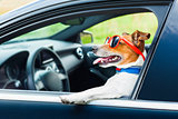 dog car  steering wheel