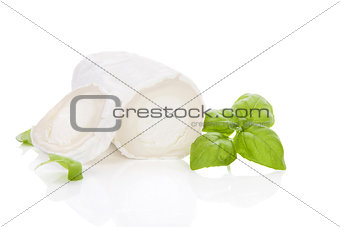 Delicious goat cheese isolated.