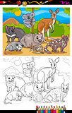 marsupials animals cartoon coloring book
