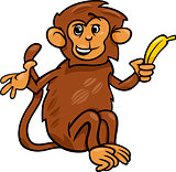 monkey with banana cartoon illustration