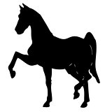 black horse silhouette 4