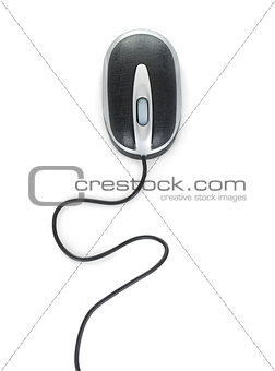 computer mouse on a white background