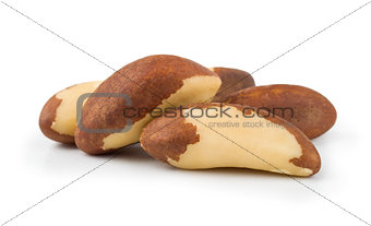 Brazilian walnut on a white background