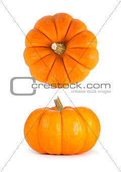 Mini Orange Pumpkins Isolated on White