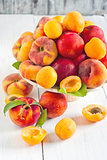 Apricots, nectarines and saturn peaches