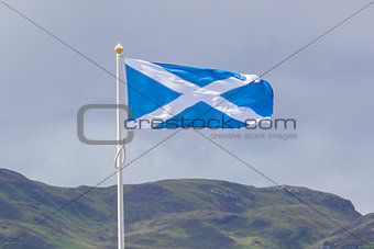 Scotland flag waving in the wind