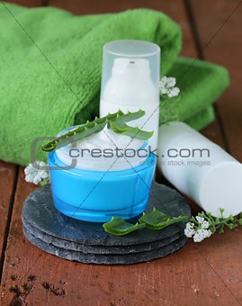 cosmetic cream lotion with natural green fresh aloe vera