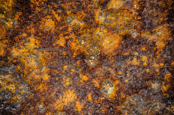 Rusty metal sheet background with texture and structure