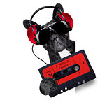 dog music cassette