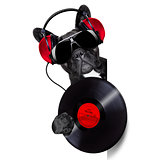 dog record vinyl