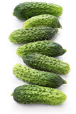 gherkin, garden fresh cucumber
