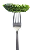 gherkin, garden fresh cucumber on fork