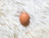 egg on white fur carpet