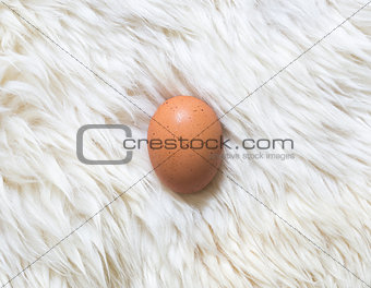 egg on white fur carpet