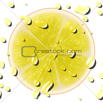 Yellow citrus slice