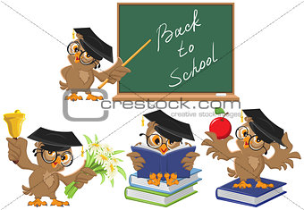 Set Owl teacher. Back to School