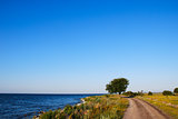 Winding gravel road with lone tree at the coast