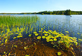 Lake summer view (Finland).