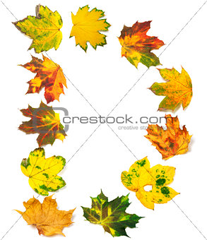 Letter D composed of autumn maple leafs