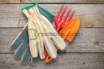 Gardening tools and gloves