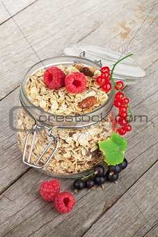 Healty breakfast with muesli and berries