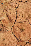 dry soil 