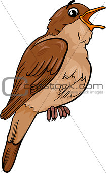 nightingale bird cartoon illustration