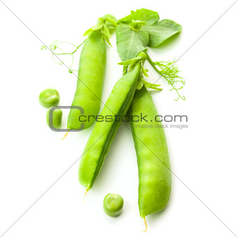 Three green Closed Pea's Pods  with leaves - isolated on white