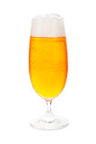Pilsner in beer glass isolated.