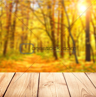 Old desk and nature background