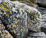 Granite rock formation 1
