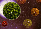 3d cell virus