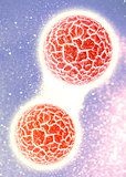 3d cell virus
