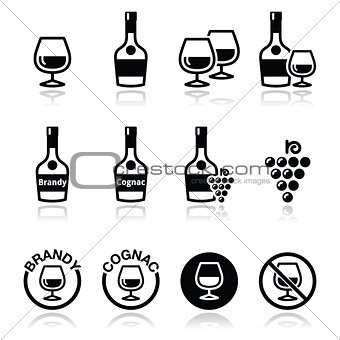 Brandy and cognac vector icons set