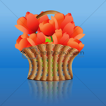 Basket of red tulips