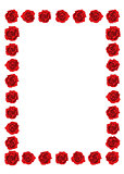Red roses frame